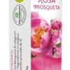 esencias de plantas ACEITE ROLL-ON ROSA MOSQUETA BIO 10 ML