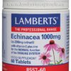 sistema inmunológico ECHINACEA 1000MG 60 COMP