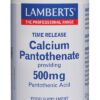 minerales PANTOTENATO CALCIO 500MG 60 TABLETAS