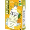 plantas en filtro INFUSION FRIA PIÑA Y LIMA BIO 10 BOLSAS