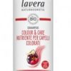 línea capilar CHAMPU PROTECTOR COLOR BIO 250ML