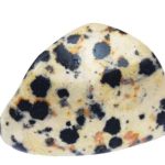 piedras PIEDRA JASPE DALMATA